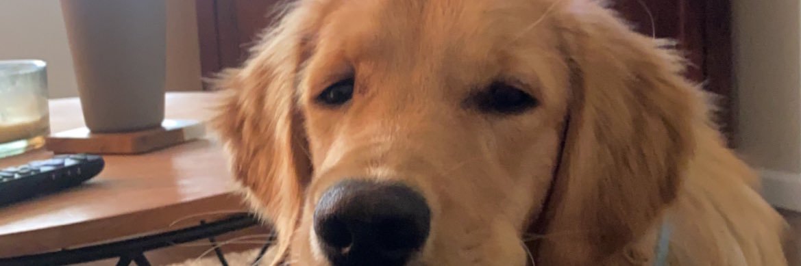 KyleHolmes_'s profile banner image