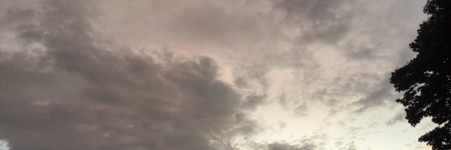 SalcedoLeo's profile banner image