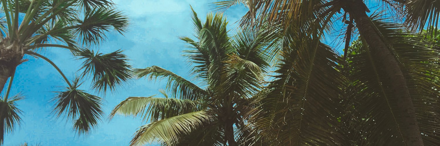 leonorevez's profile banner image