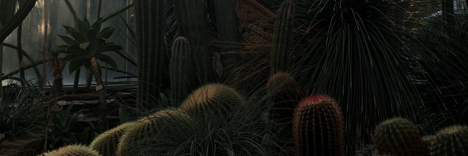 stevefrous's profile banner image