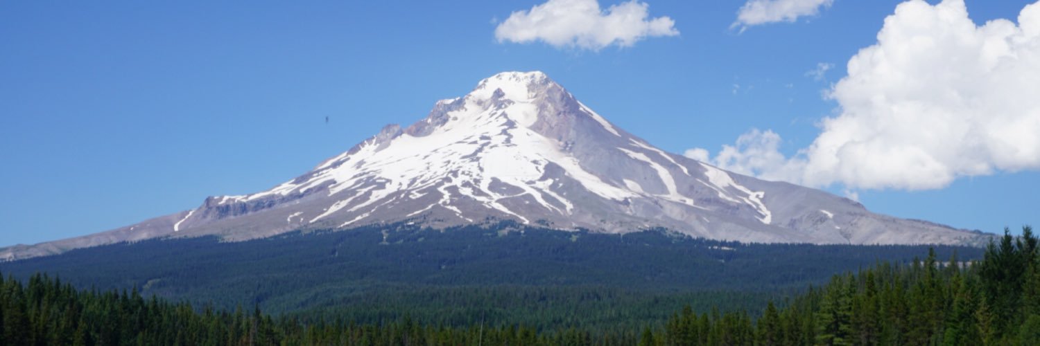 SwiftTrinity's profile banner image