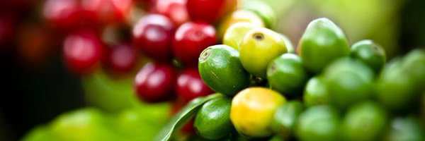 daethio's profile banner image