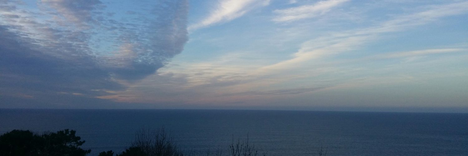 Pe_Cholakova's profile banner image