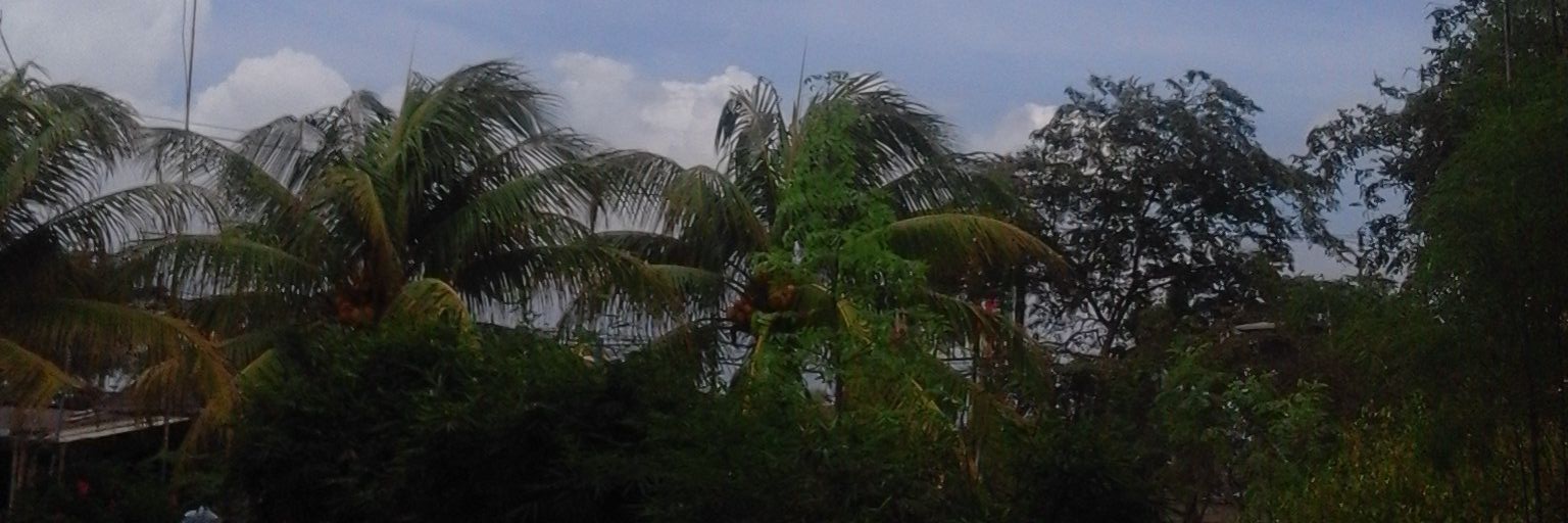 andyjayajaya's profile banner image