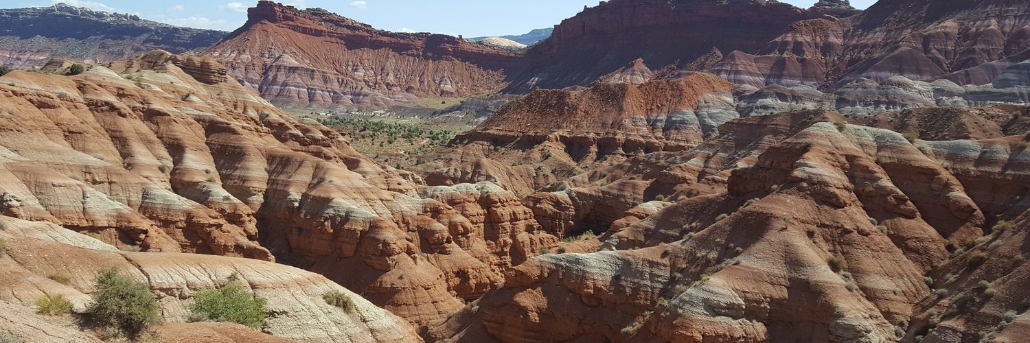 Gerald S. 🇦🇹🇺🇸 banner