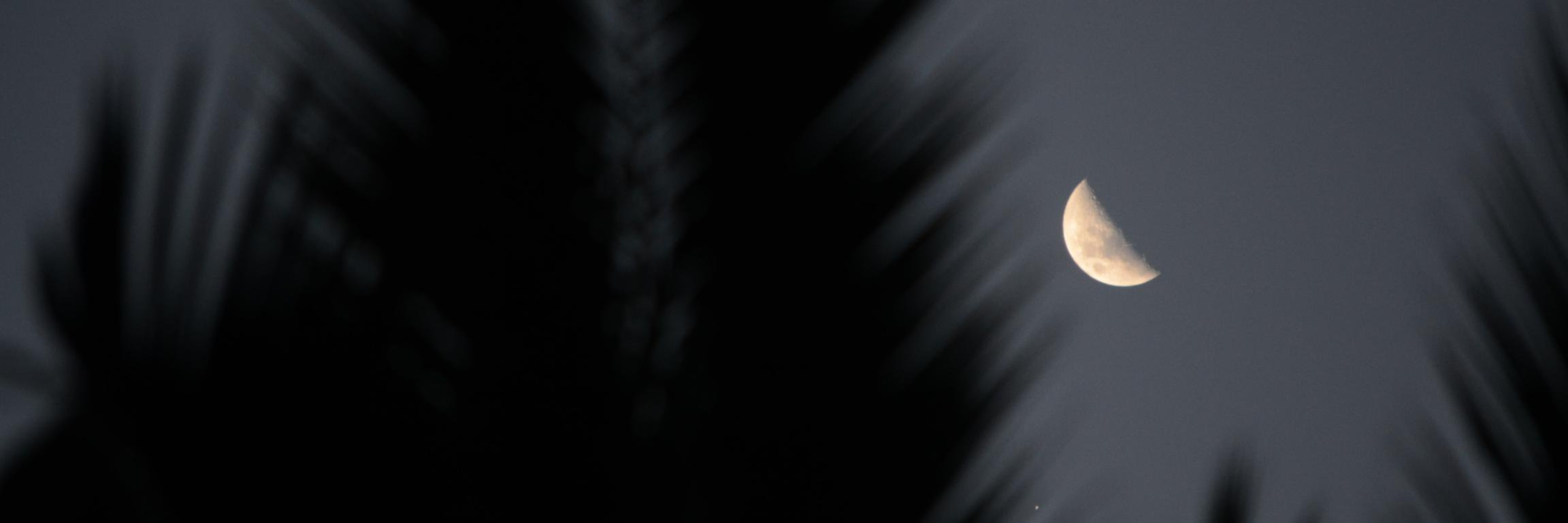 Teodolii's profile banner image