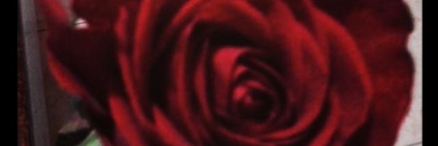GiisellF's profile banner image
