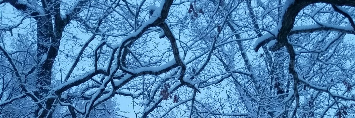 whitewater81's profile banner image