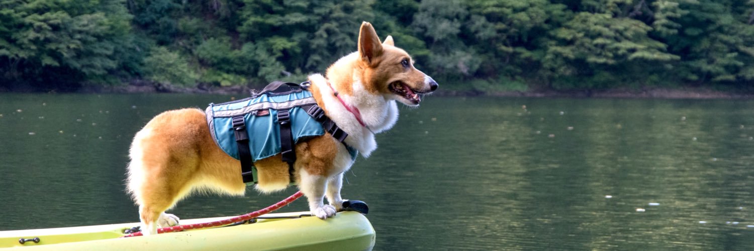 かもきち🚜 banner