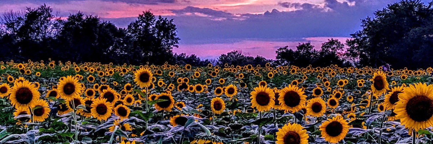 dimitrix8_'s profile banner image