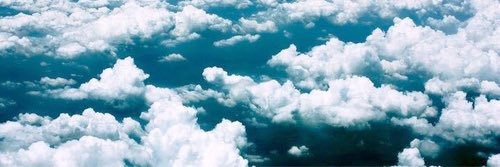 _alizainab's profile banner image