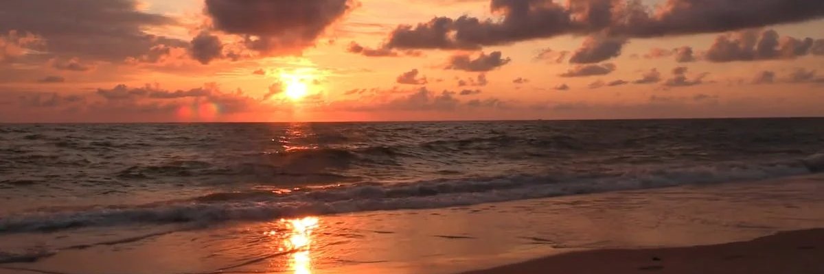 Magdalena Vaca banner