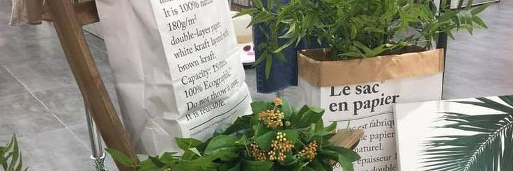 M a r i  🌿 banner