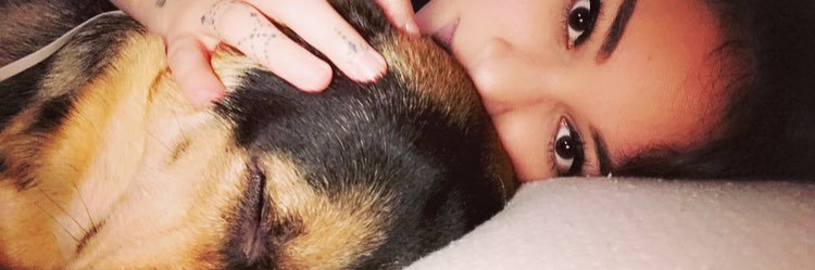 arianagreenwade's profile banner image