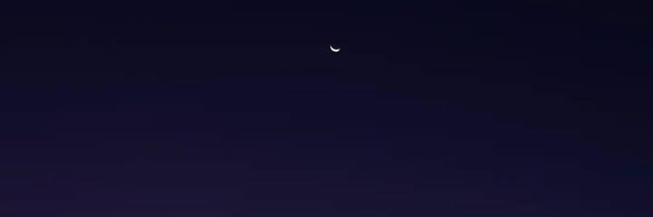 Roo_Morel's profile banner image