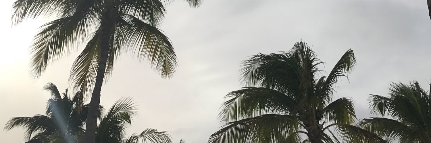Pavanoodle's profile banner image