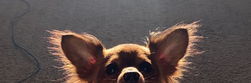ashfull_'s profile banner image