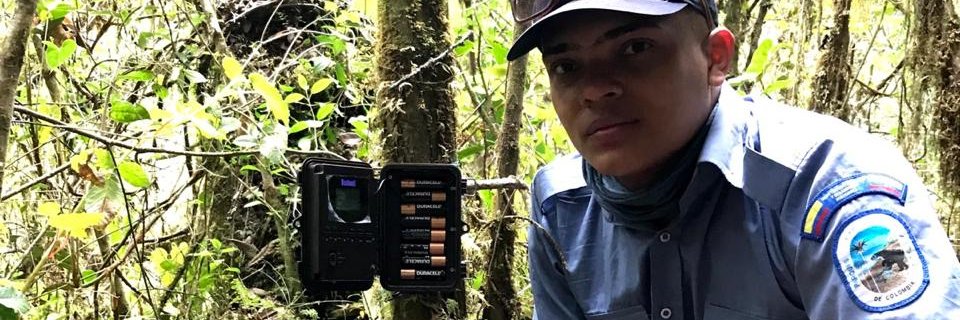 jhonfranco97's profile banner image
