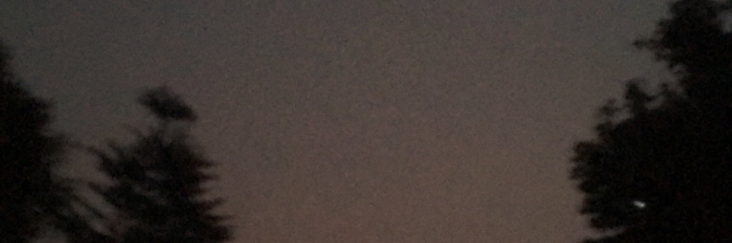 danielrimaldi's profile banner image