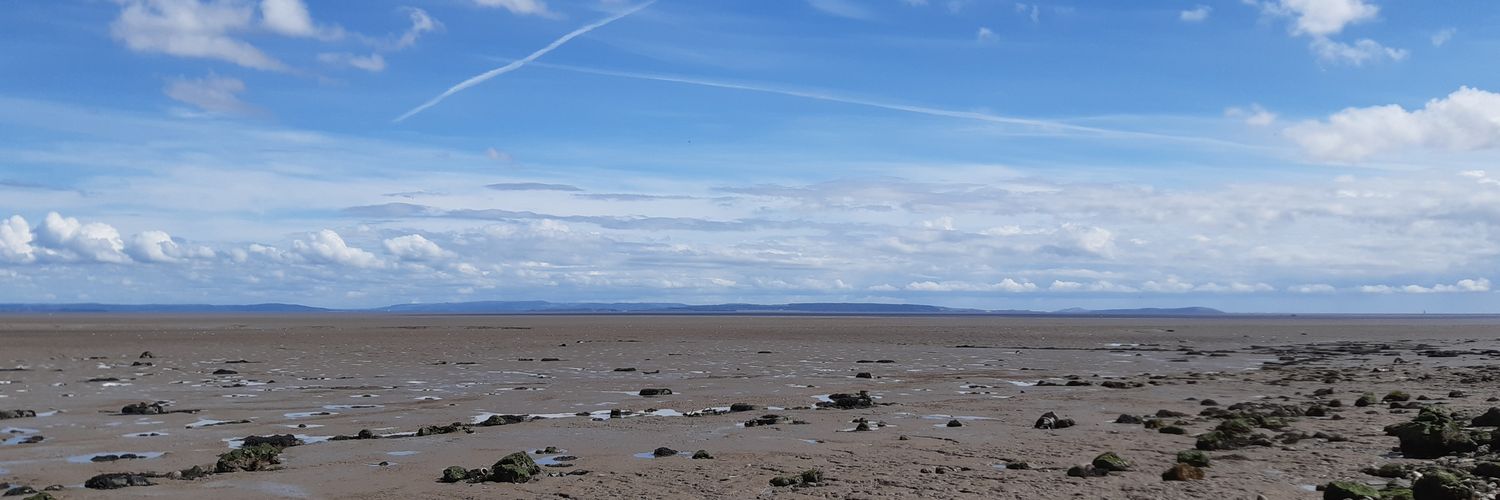 Gordon Anderson banner