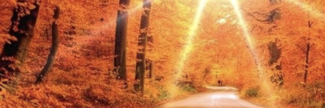 StephiePM11's profile banner image