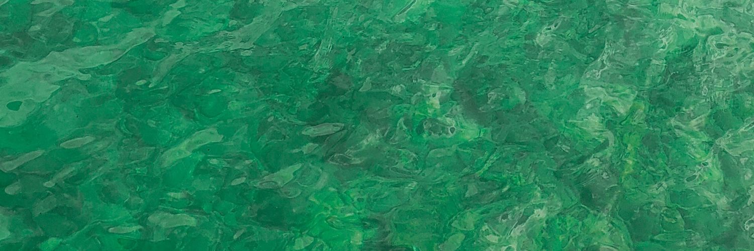 8dMarian's profile banner image