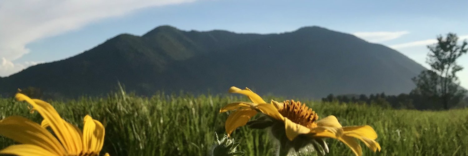 andreagglm's profile banner image
