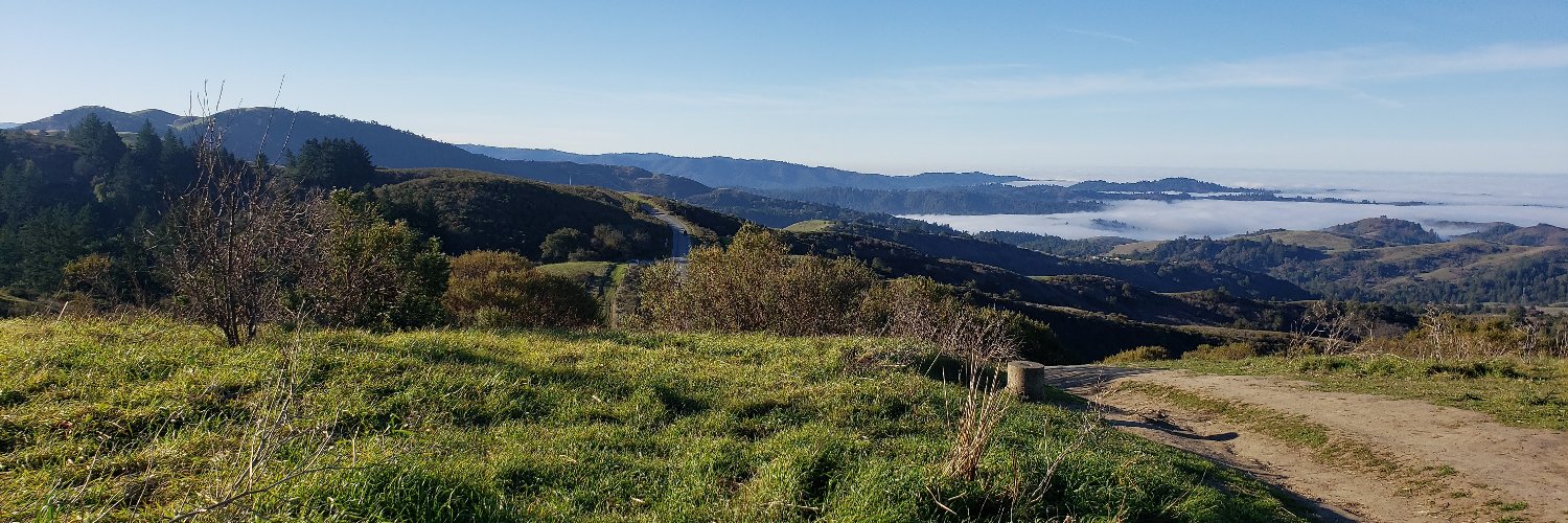 Kaecey McCormick banner