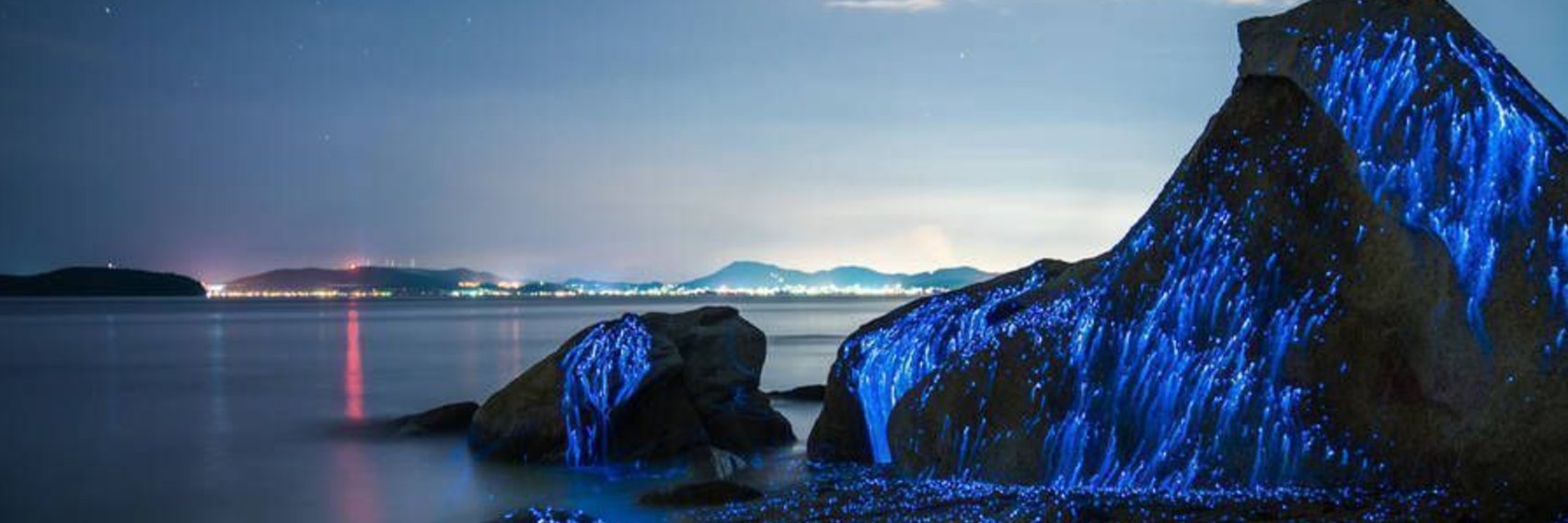 Nicoevx's profile banner image