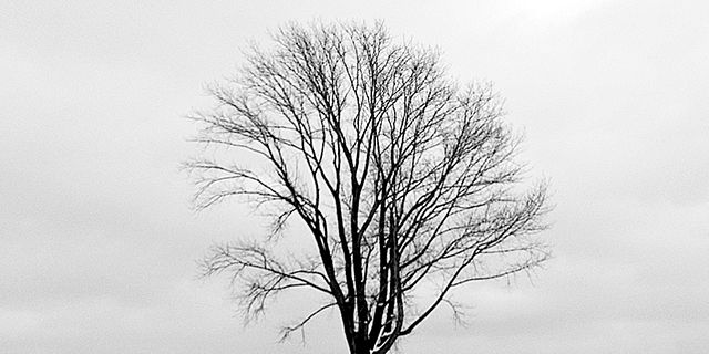 ntiaraf's profile banner image