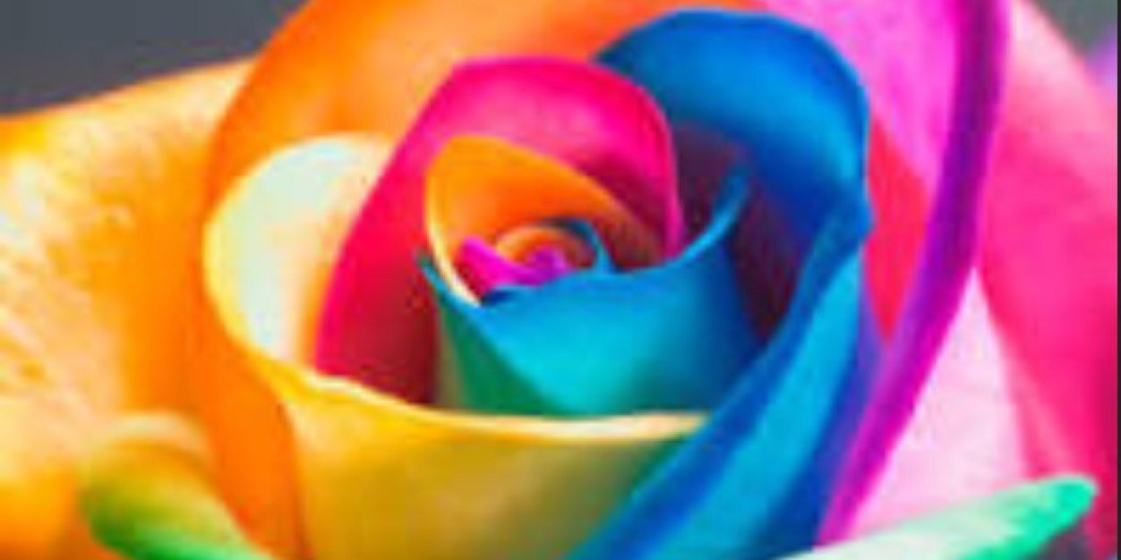 madalynn09's profile banner image