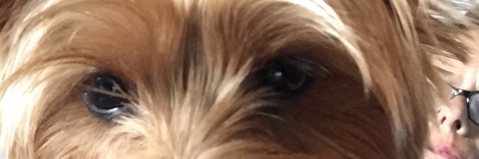 debbielleonardo's profile banner image