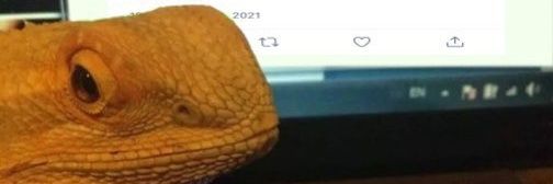 INTERLOPER CS banner