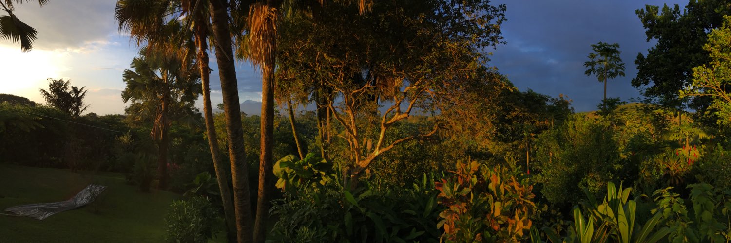 donchepefer's profile banner image