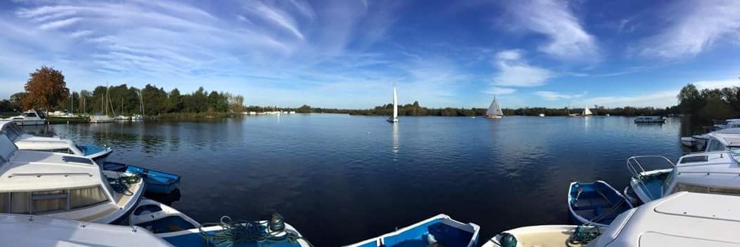 SgsBroads's profile banner image