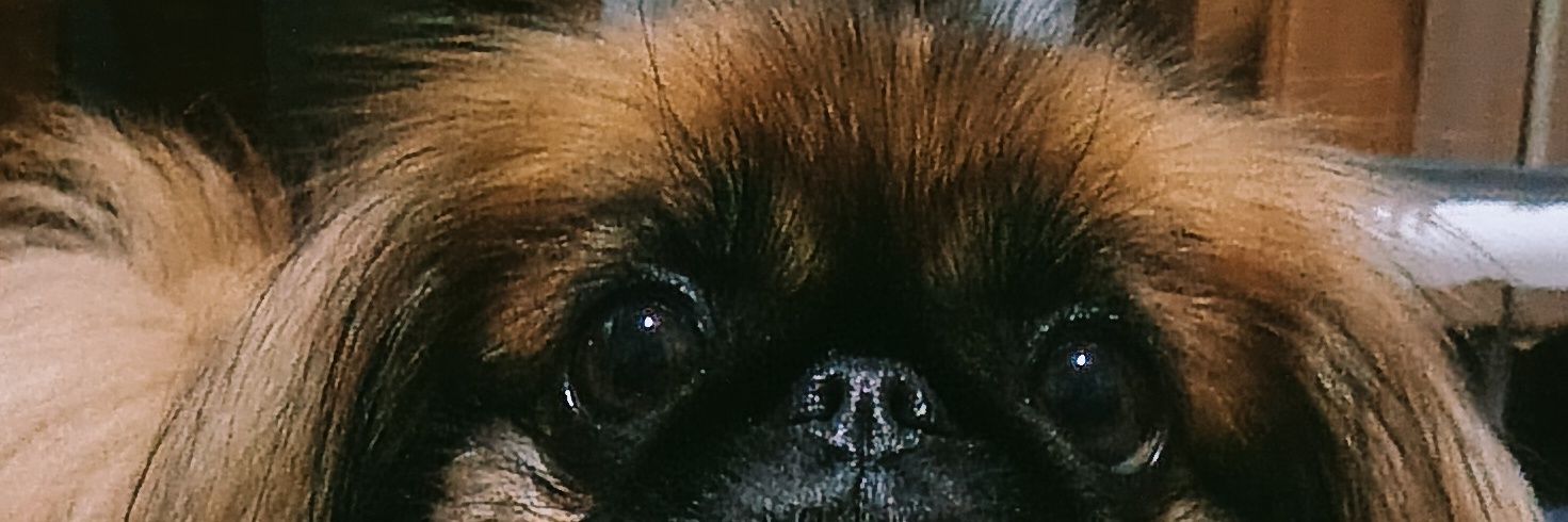 mathpolydoro's profile banner image