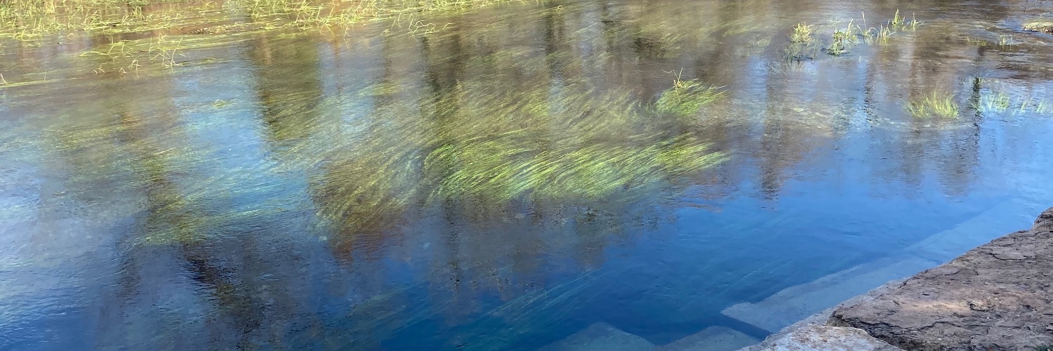 Dr Janet Strange for clean air ☮️❤️🇵🇹 banner