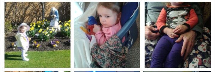 Steve From Ohio banner