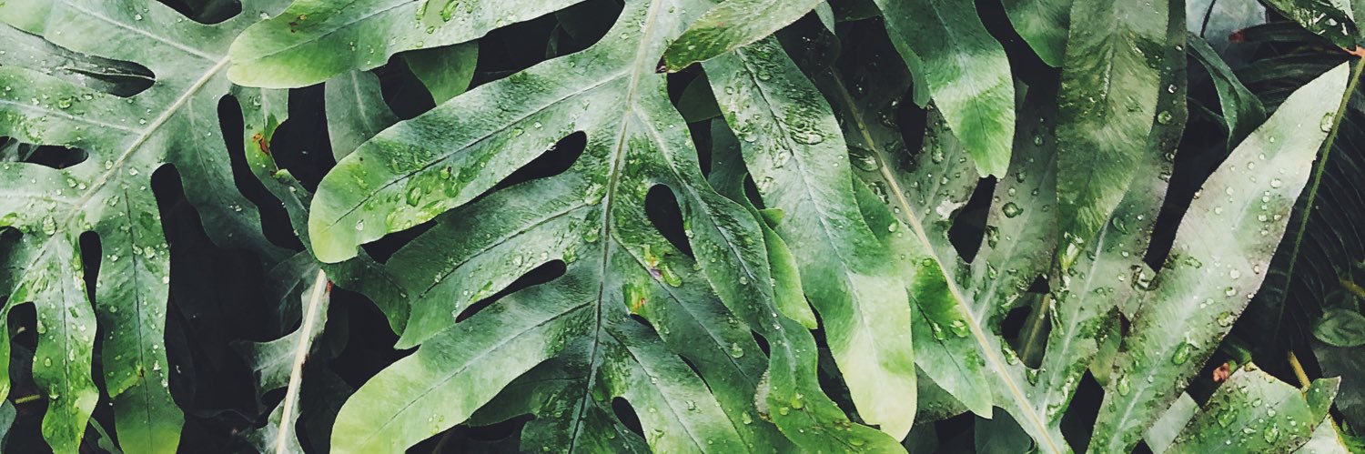 baikatherine's profile banner image