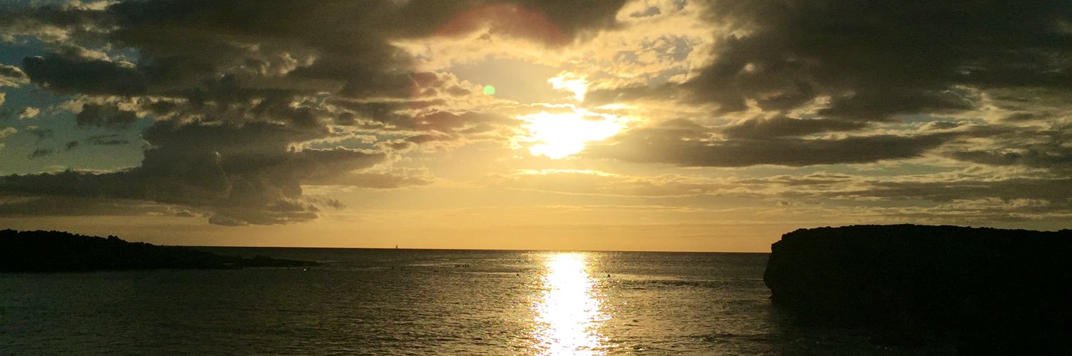 mcwalsh2's profile banner image