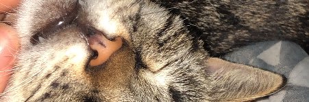 MarieliLodi's profile banner image