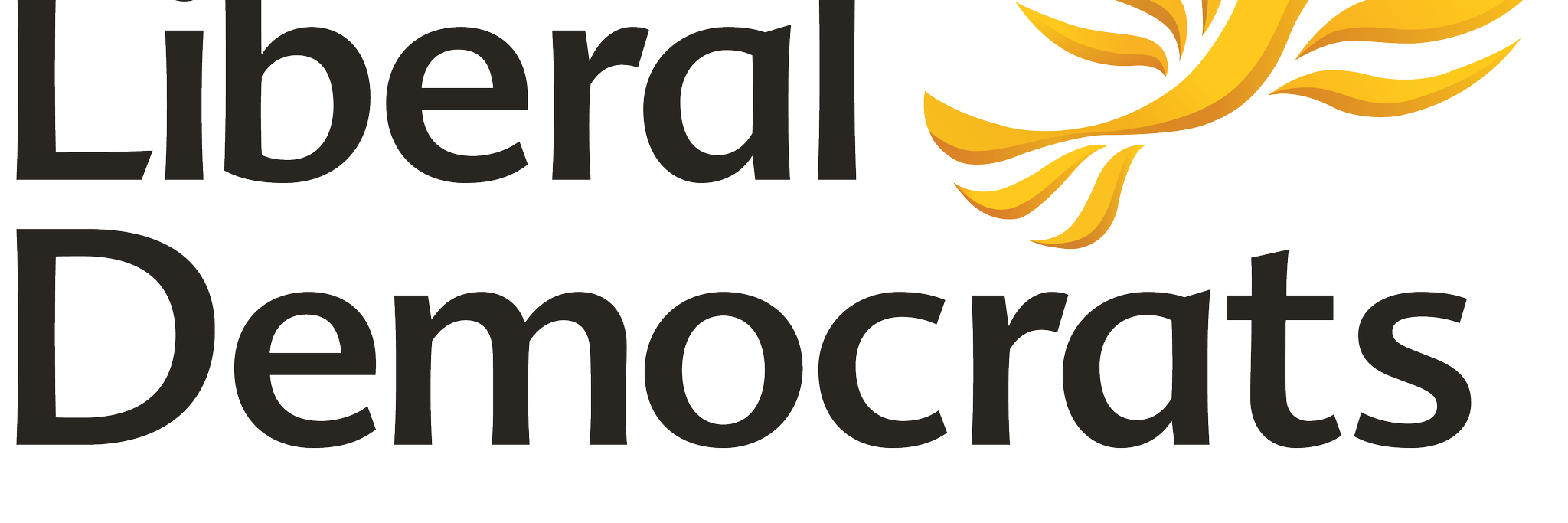 LibDemsBevHold's profile banner image