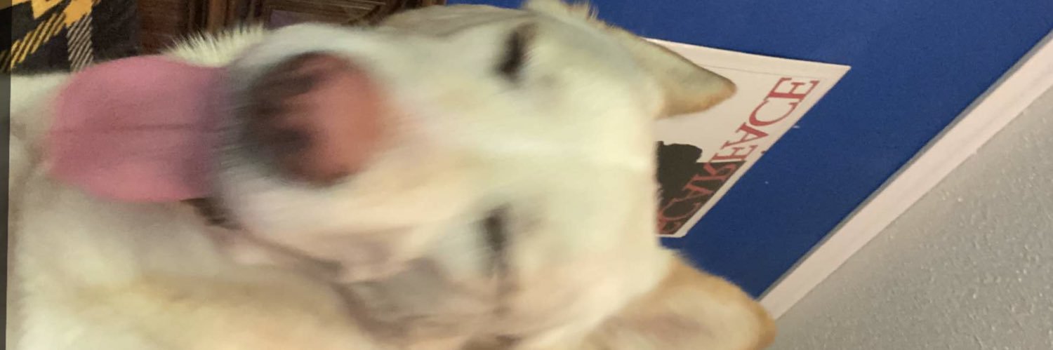 GBare's profile banner image