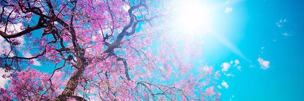 201560Com's profile banner image