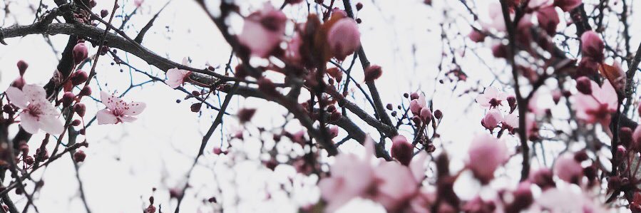 natugaldeC's profile banner image
