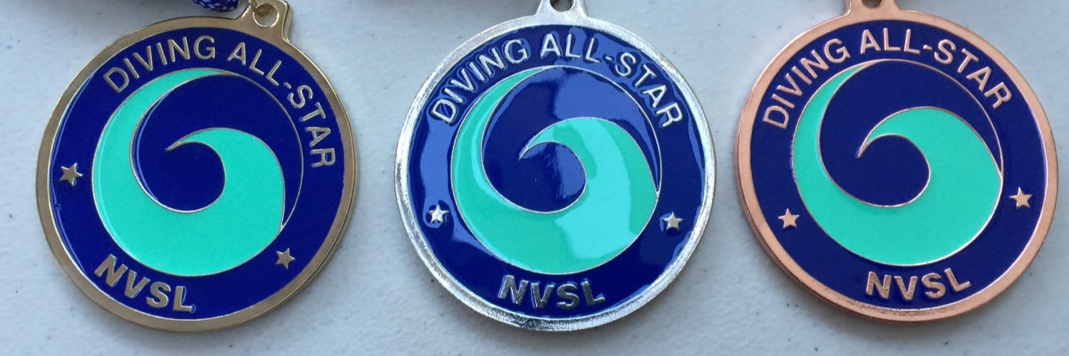 NVSL Dive banner