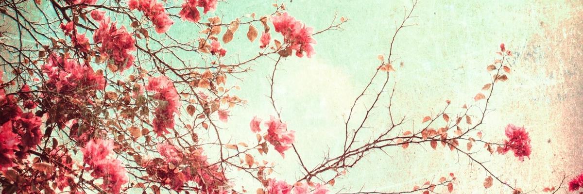 janeyeols's profile banner image