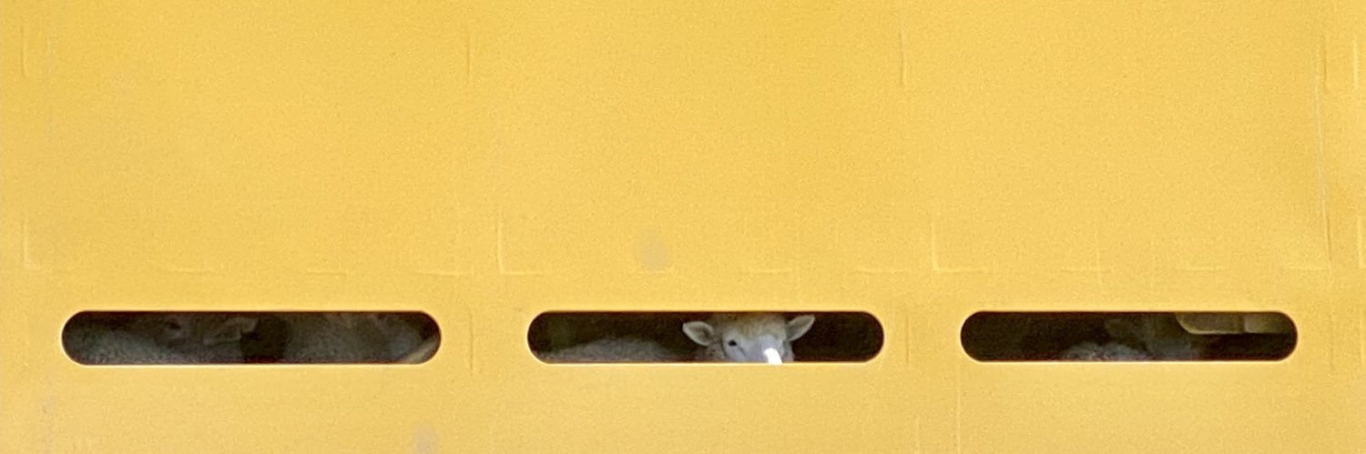 Adrian Watkins banner