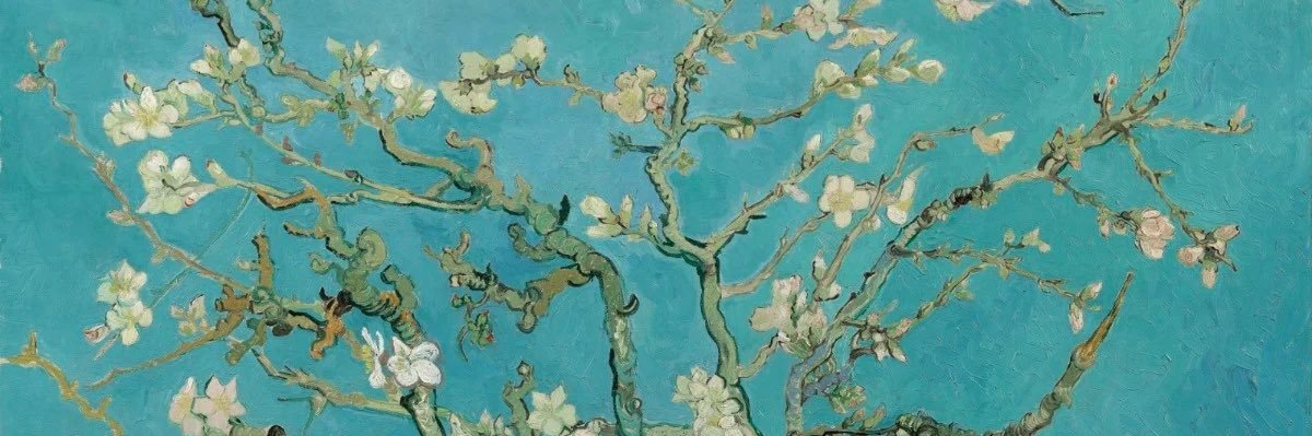 fiorestorti's profile banner image