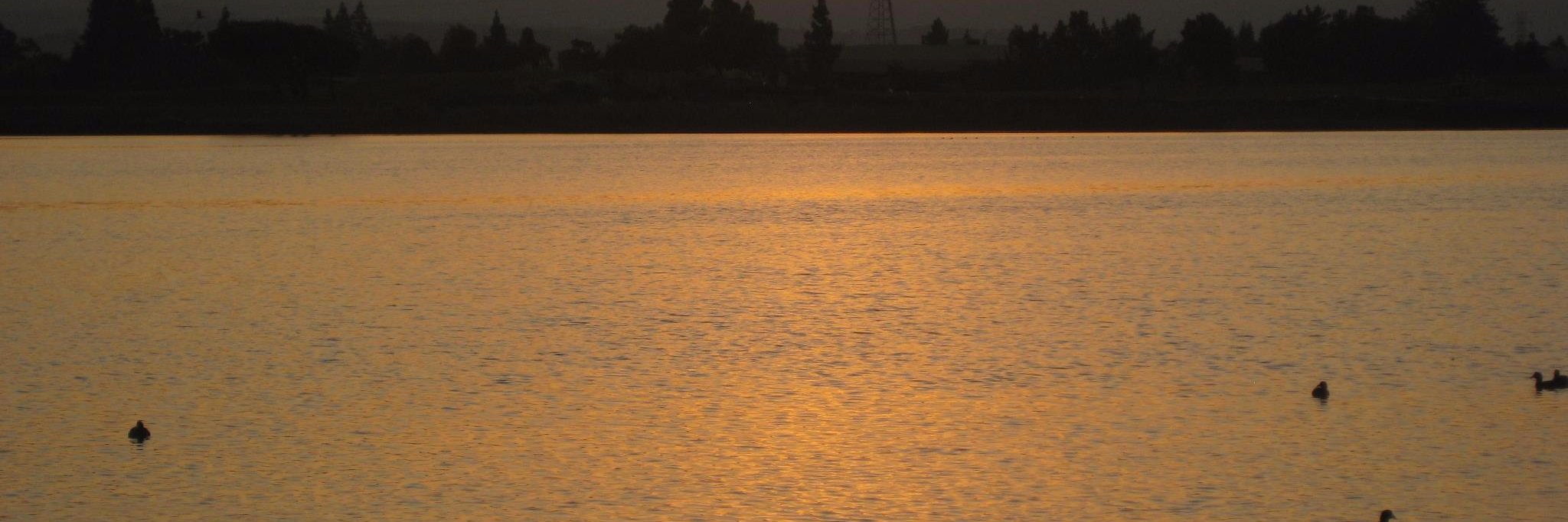 Ana Vera Emilda G jr banner